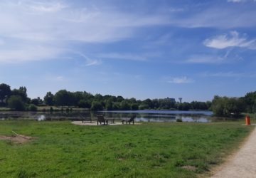 montauban - etang