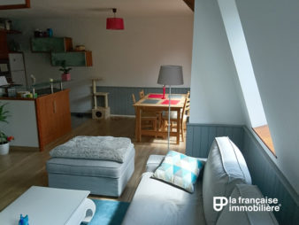 Appartement T2 à vendre, Rennes Patton
